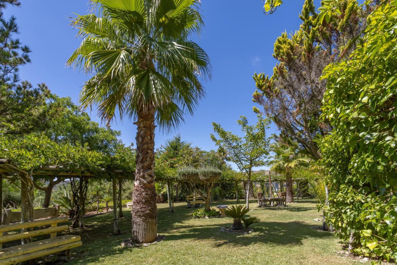 Quinta Do Monte Das Abelhas - La Venus De Lisbonne Calhandriz Dış mekan fotoğraf